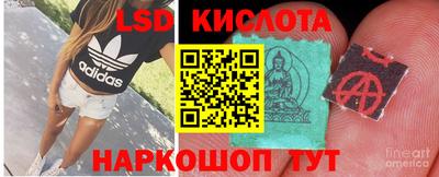 индика Рыбинск