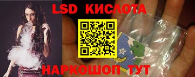 индика Рыбинск