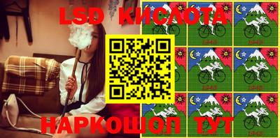 индика Рыбинск