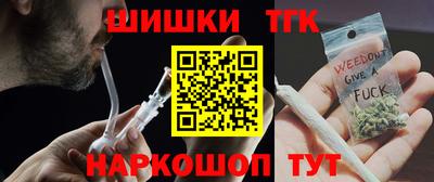 индика Рыбинск