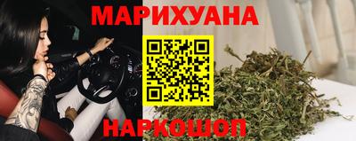 индика Рыбинск
