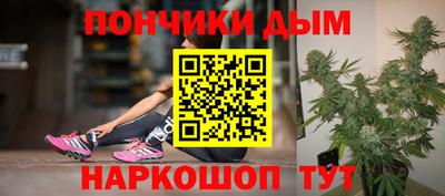 индика Рыбинск